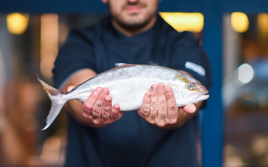 Ricci Pescheria con Cucina, ecco il mare a Roma nord